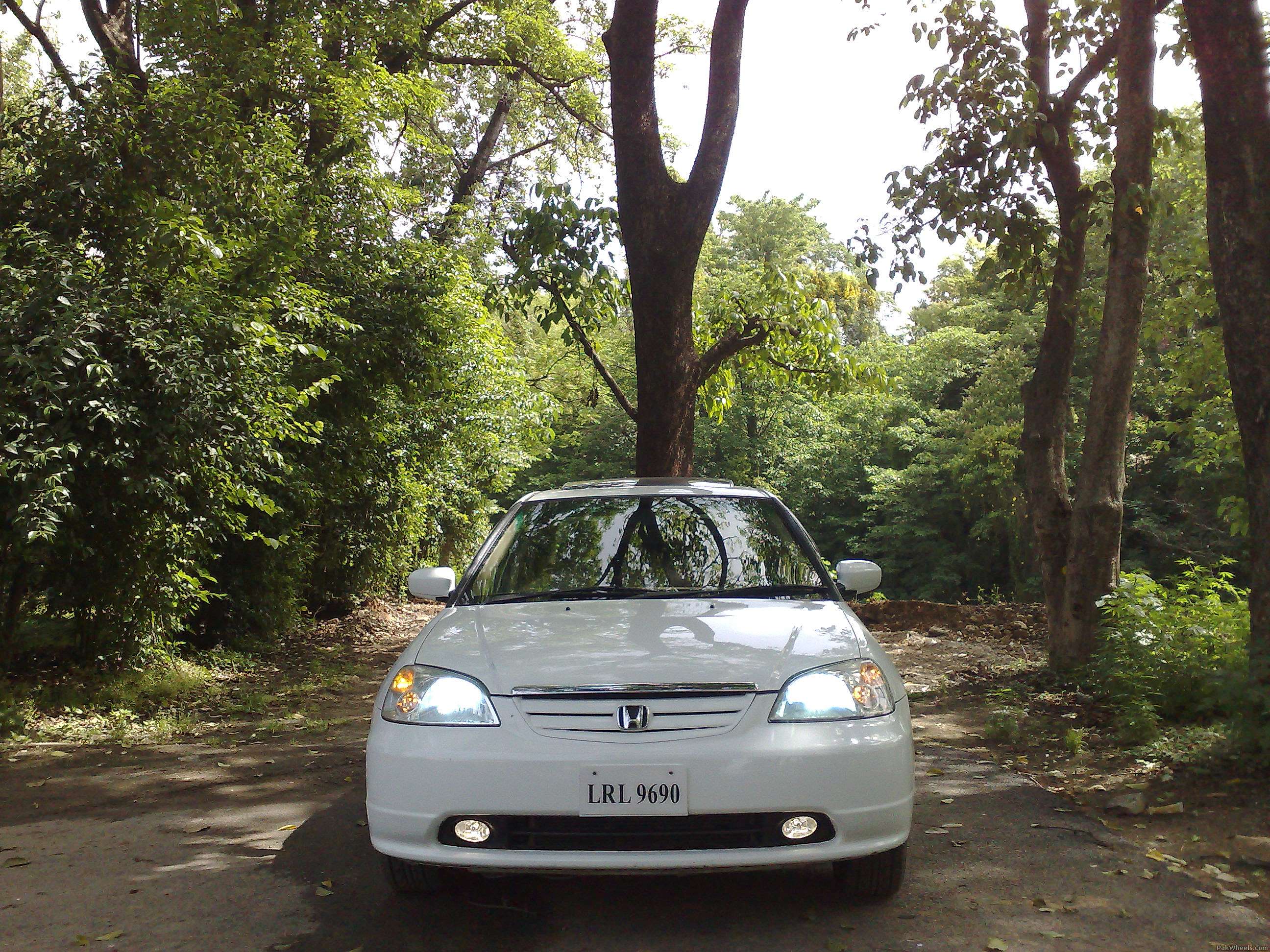 Honda Civic - 2003 cheeti Image-1