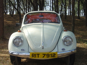 Volkswagen Beetle - 1968