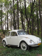 Volkswagen Beetle - 1974