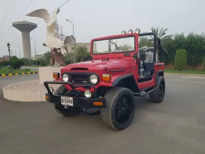 Toyota Fj Cruiser 1974 for Sale