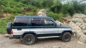 Toyota Land Cruiser 1993 for Sale