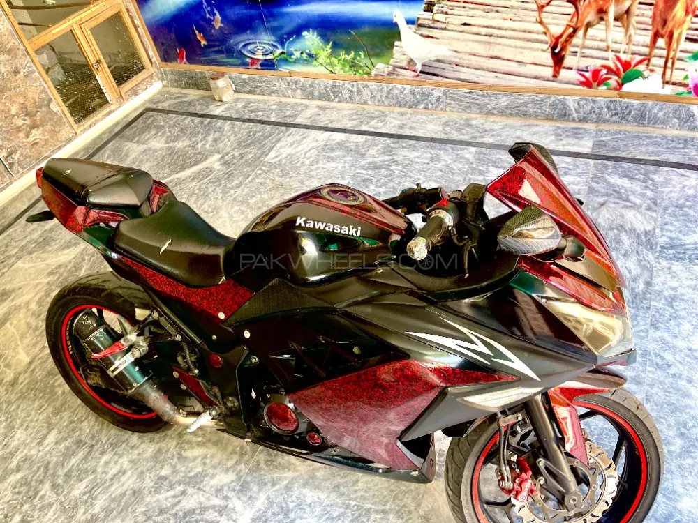Kawasaki Ninja 250R 2018 for Sale Image-1