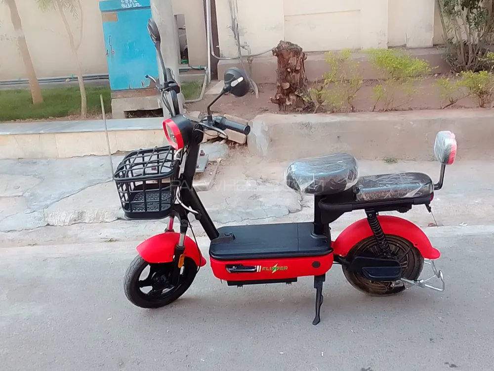 Evee Flipper 2024 for Sale Image-1