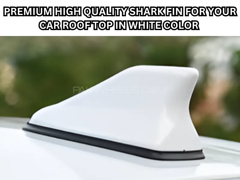 Premium High-Quality Car Roof Top Shark Fin for All Kinds of Cars (White Color) Image-1