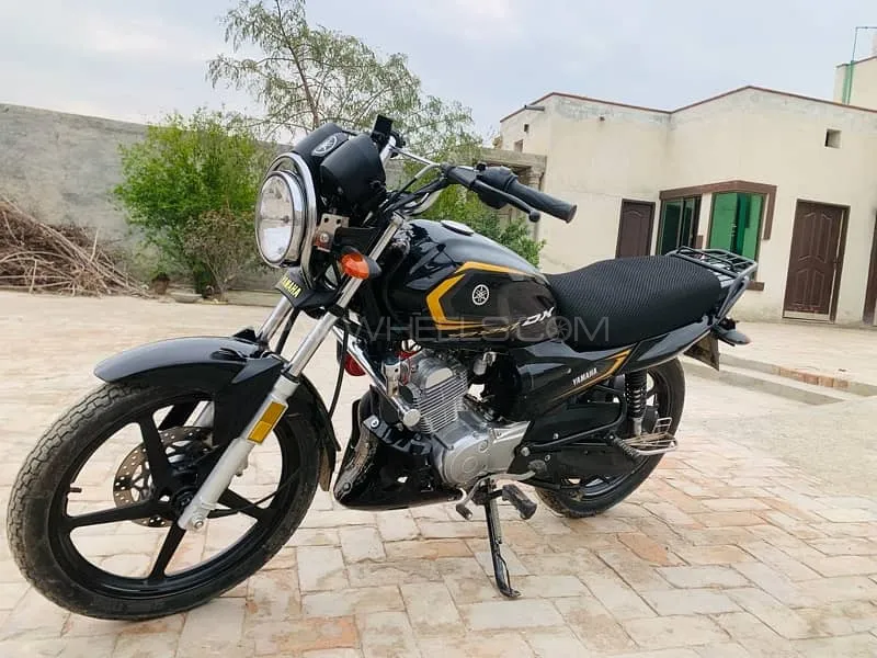 Yamaha YB 125Z-DX 2024 for Sale Image-1