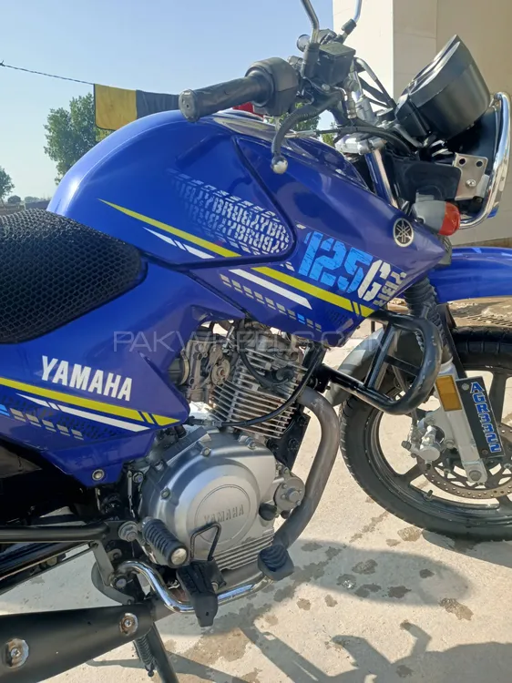 Yamaha YBR 125 2021 for Sale Image-1