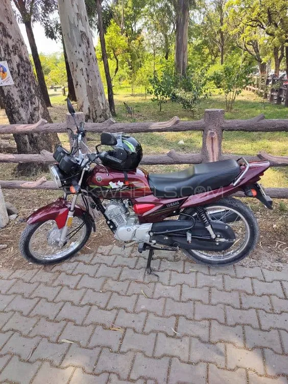Yamaha YB 125Z  2022 for Sale Image-1