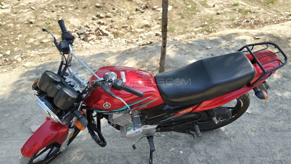 Yamaha YB 125Z-DX 2023 for Sale Image-1