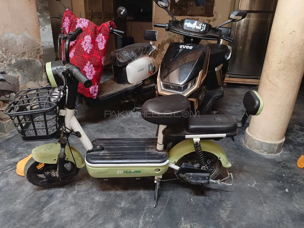 Evee Flipper 2024 for Sale Image-1