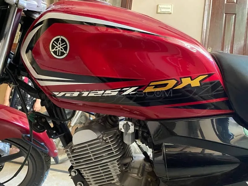 Yamaha YB 125Z-DX 2024 for Sale Image-1