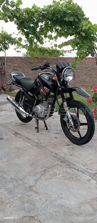 Yamaha YBR 125 2016 for Sale Image-1