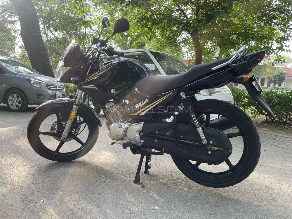 Yamaha YBR 125 2022 for Sale Image-1