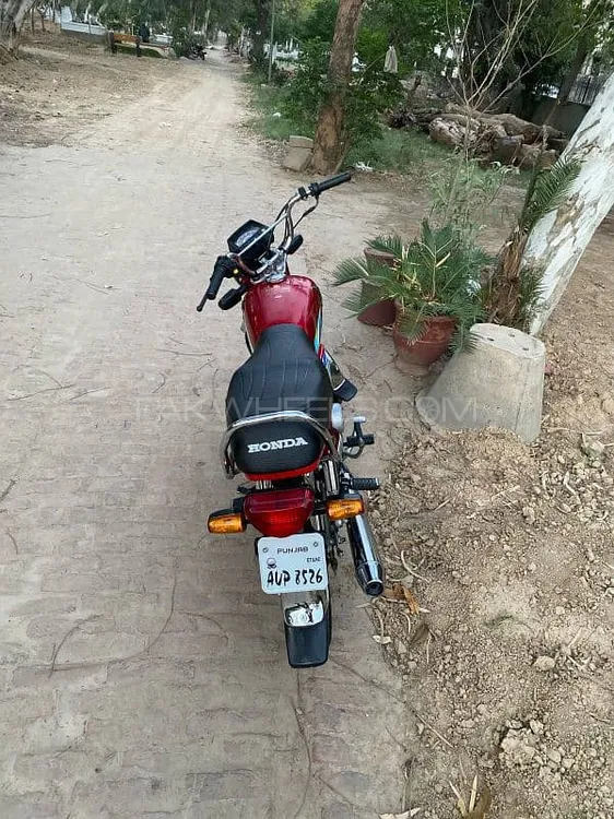 Honda CD 70 2024 for Sale Image-1