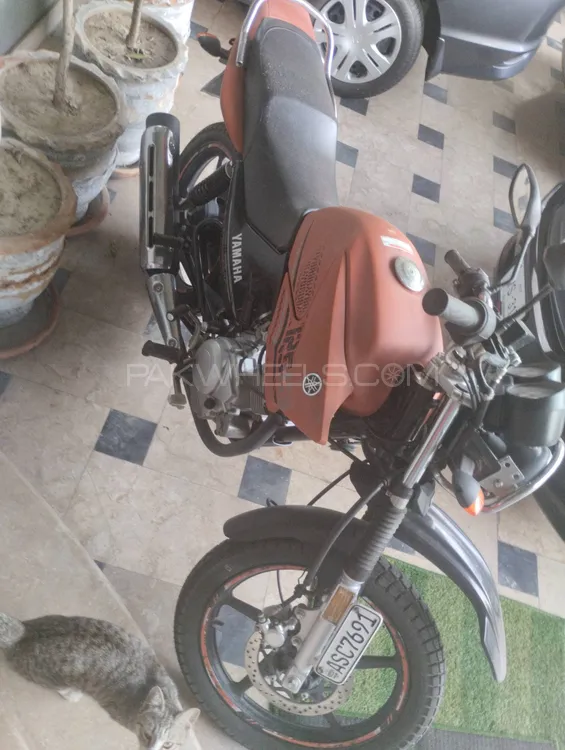 Yamaha YBR 125 2023 for Sale Image-1
