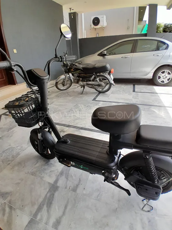 Evee Flipper 2024 for Sale Image-1