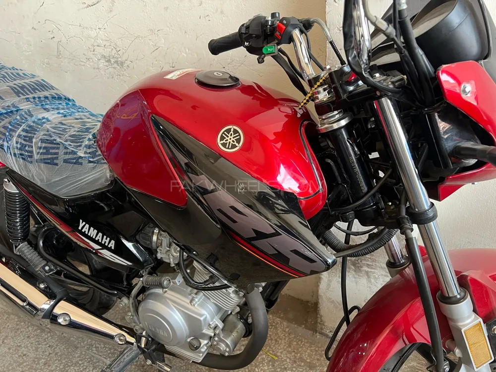 Yamaha YBR 125 2024 for Sale Image-1