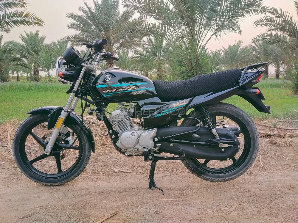 Yamaha YBR 125 2023 for Sale Image-1