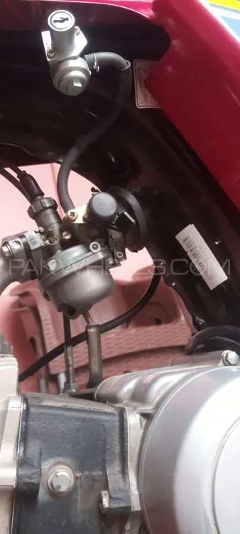 Honda CD 70 2019 for Sale Image-1