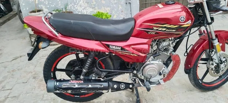 Yamaha YB 125Z-DX 2022 for Sale Image-1