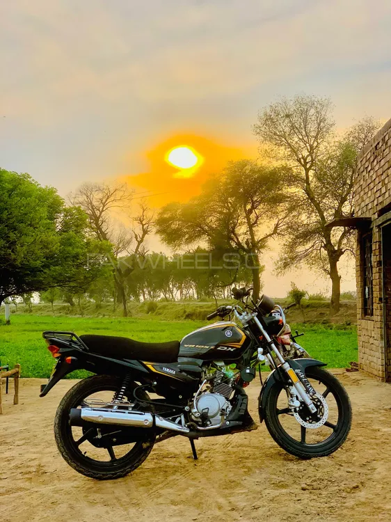 Yamaha YB 125Z-DX 2024 for Sale Image-1