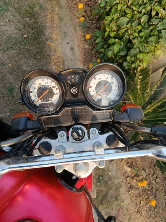 Yamaha YB 125Z  2022 for Sale Image-1