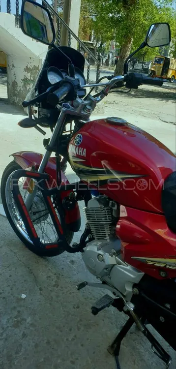 Yamaha YBR 125 2019 for Sale Image-1