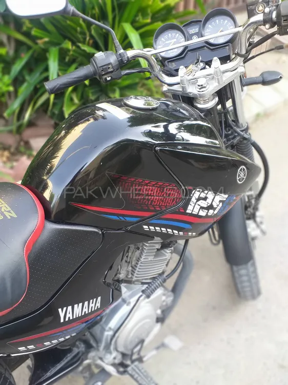 Yamaha YBR 125G 2023 for Sale Image-1