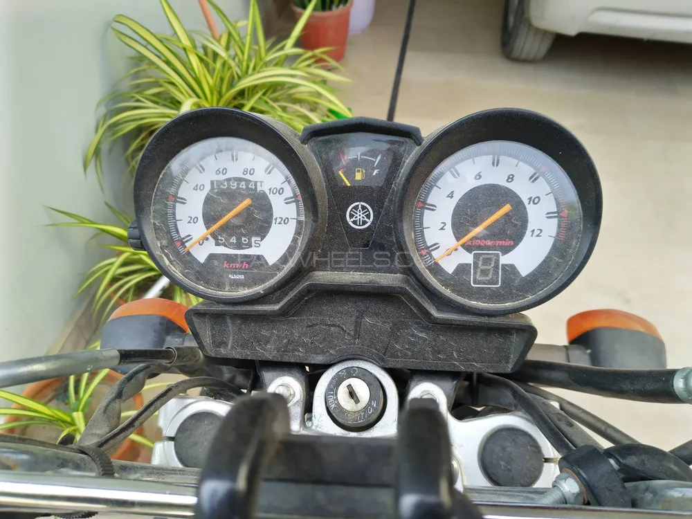 Yamaha YB 125Z-DX 2024 for Sale Image-1