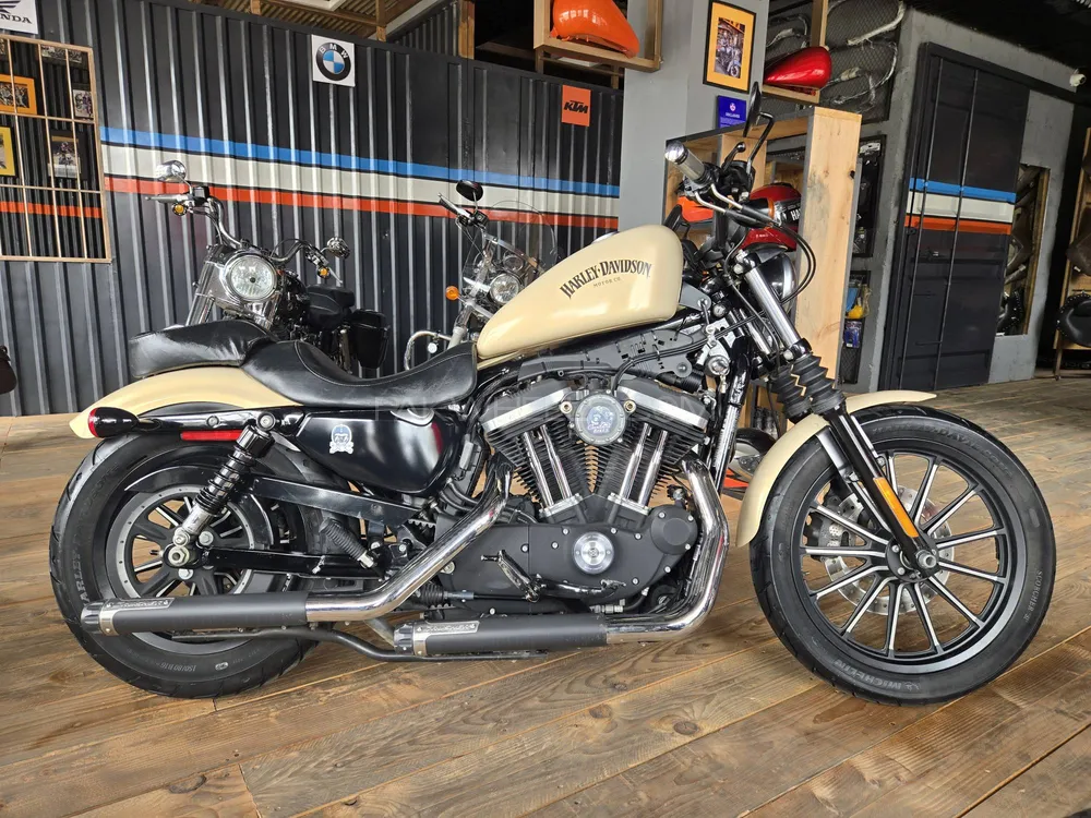 Harley Davidson Iron 883 2024 for Sale Image-1