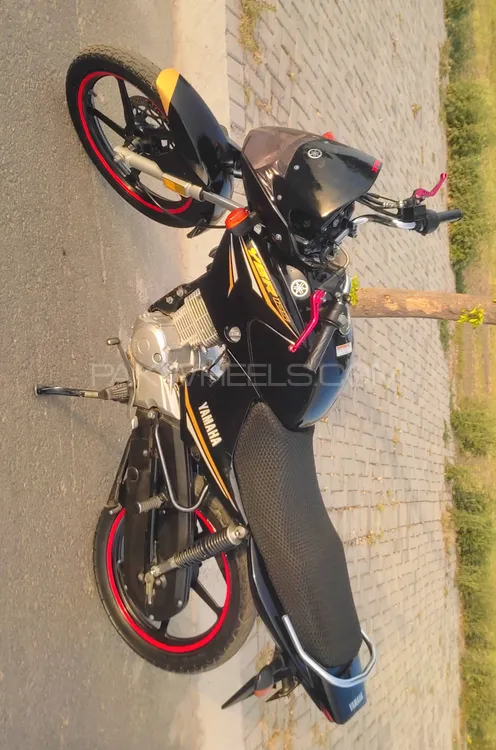 Yamaha YBR 125 2022 for Sale Image-1