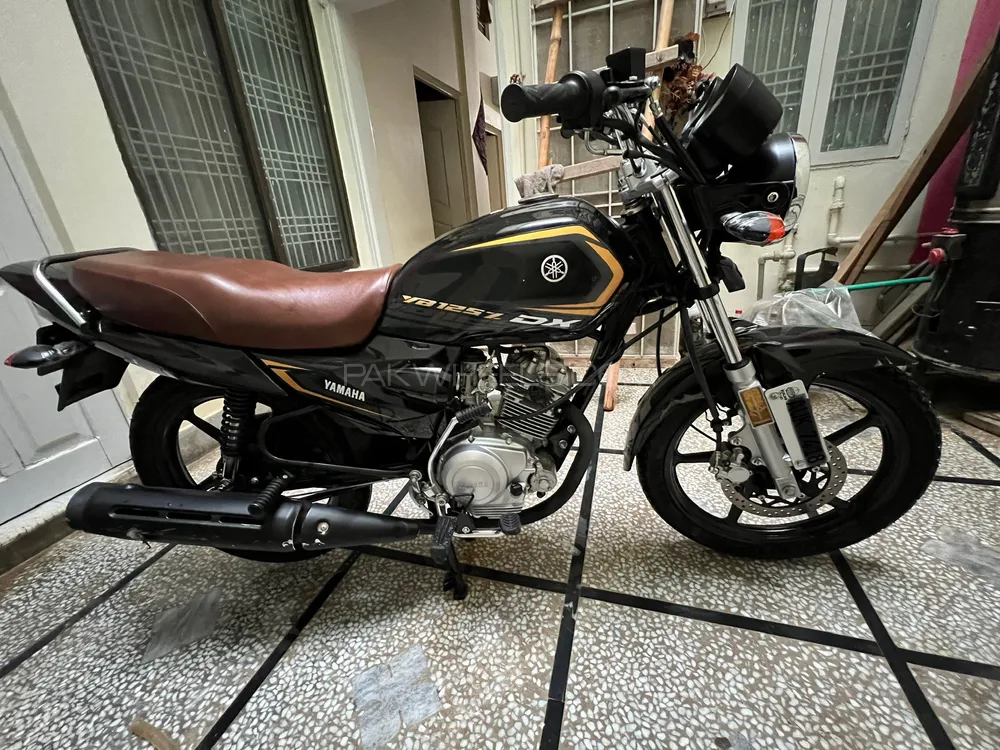 Yamaha YB 125Z-DX 2024 for Sale Image-1