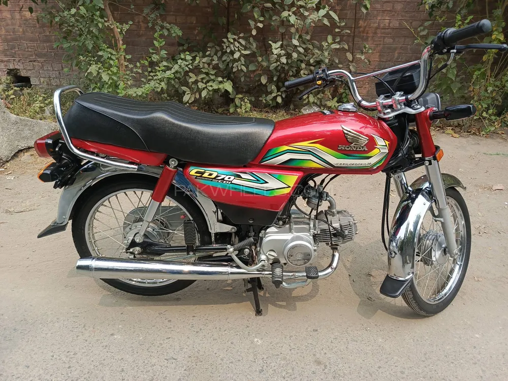 Honda CD 70 2023 for Sale Image-1