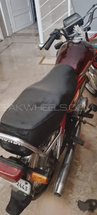 Honda CD 70 2020 for Sale Image-1