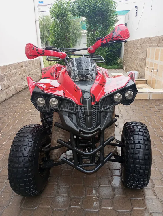 Chinese Bikes Other 2025 for Sale Image-1