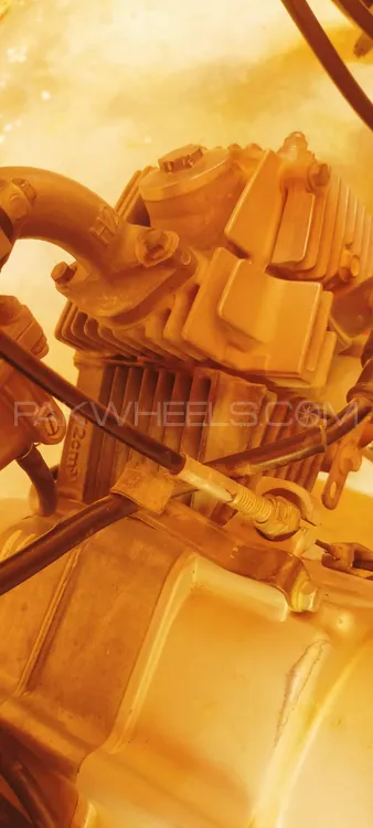 Honda CD 70 2019 for Sale Image-1