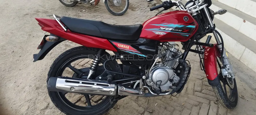 یاماہا YB 125Z-DX 2023 for Sale Image-1