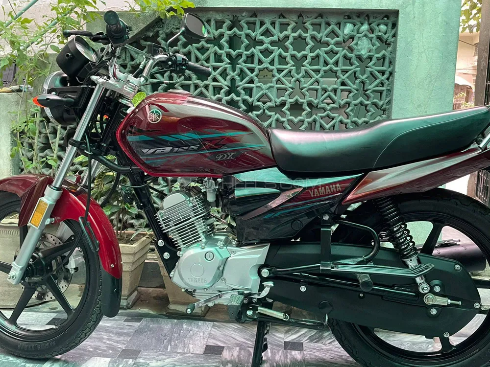 Yamaha YB 125Z-DX 2023 for Sale Image-1