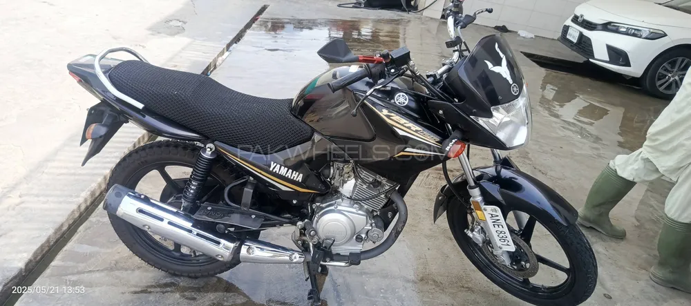 Yamaha YBR 125 2022 for Sale Image-1