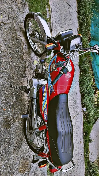 Honda CD 70 2019 for Sale Image-1