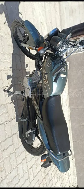 Yamaha YB 125Z-DX 2025 for Sale Image-1