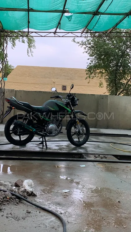 Yamaha YBR 125 2024 for Sale Image-1