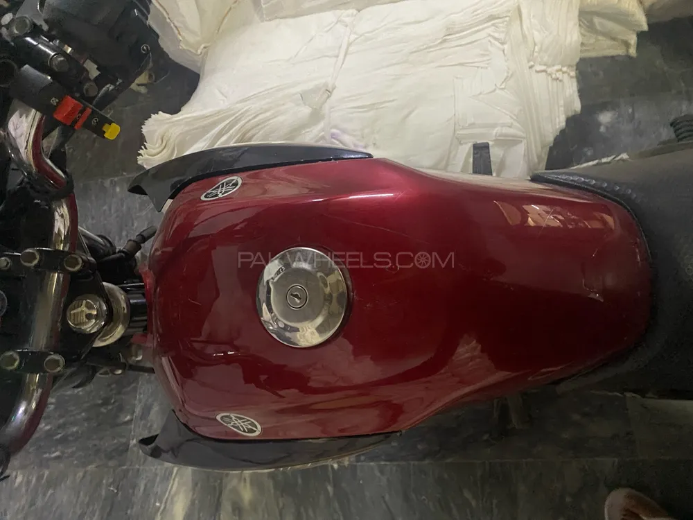 Yamaha YBR 125 2022 for Sale Image-1