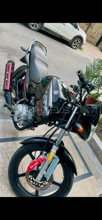 Yamaha YBR 125 2025 for Sale Image-1