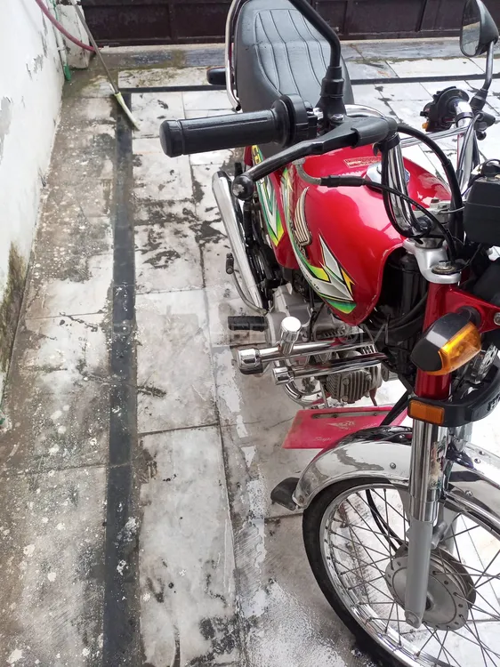 Honda CD 70 2023 for Sale Image-1