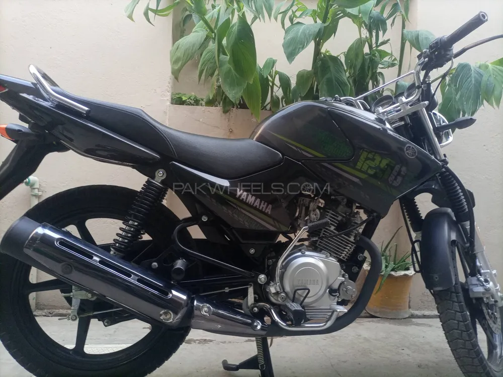 Yamaha YBR 125G 2024 for Sale Image-1