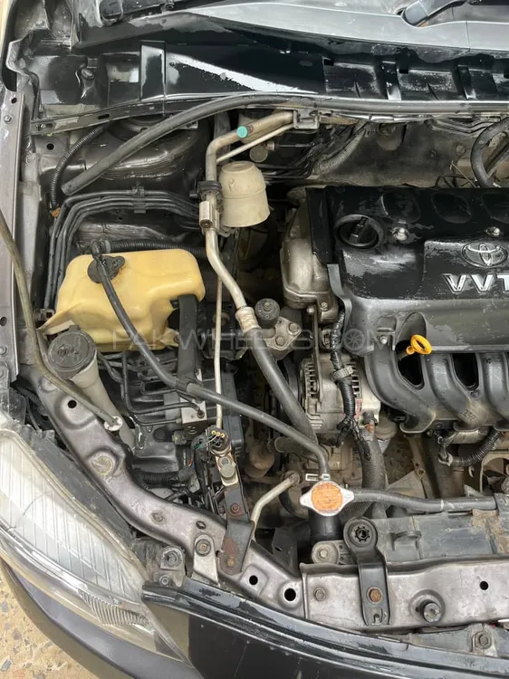 Toyota Corolla 2010 for Sale in Gujrat Image-1