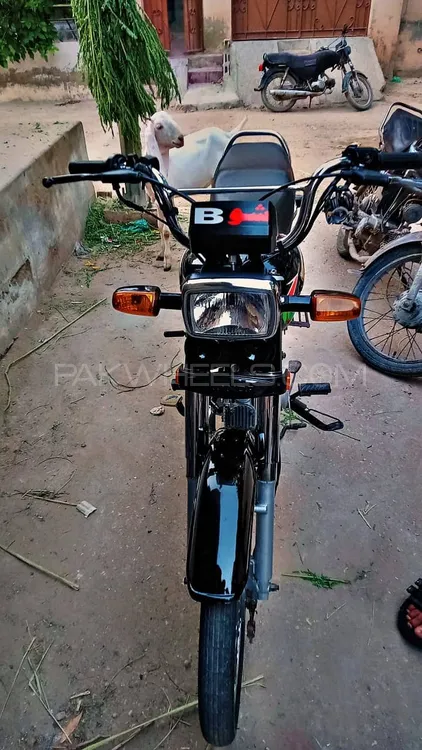 Honda CD 70 2021 for Sale Image-1