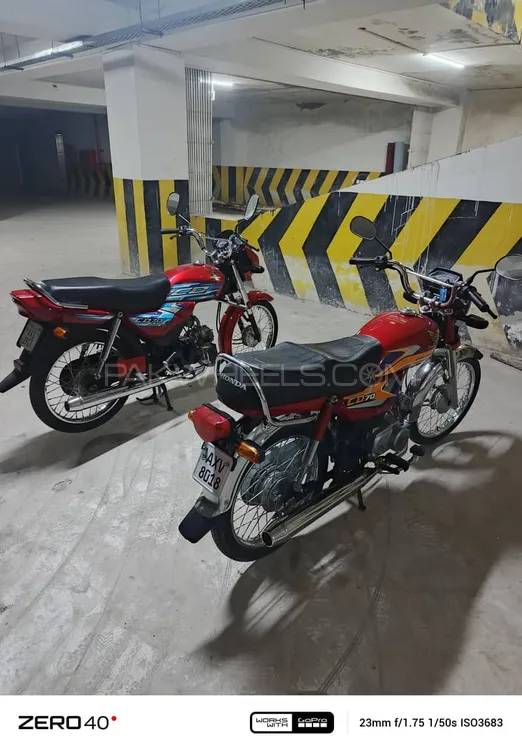 Honda CD 70 2025 for Sale Image-1