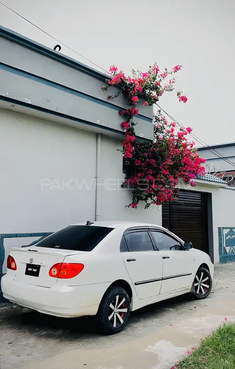 Toyota Corolla 2004 for Sale in Mansehra Image-1