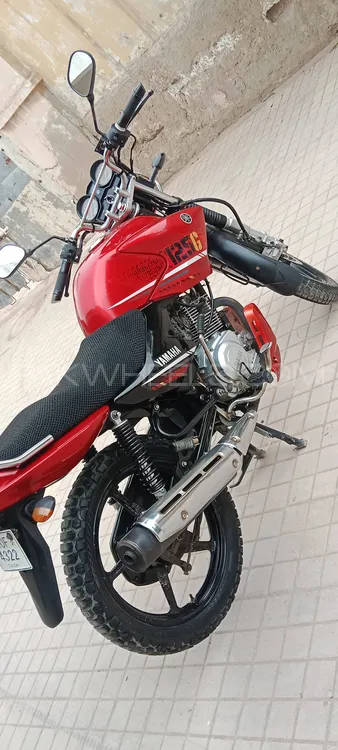 Yamaha YBR 125 2021 for Sale Image-1